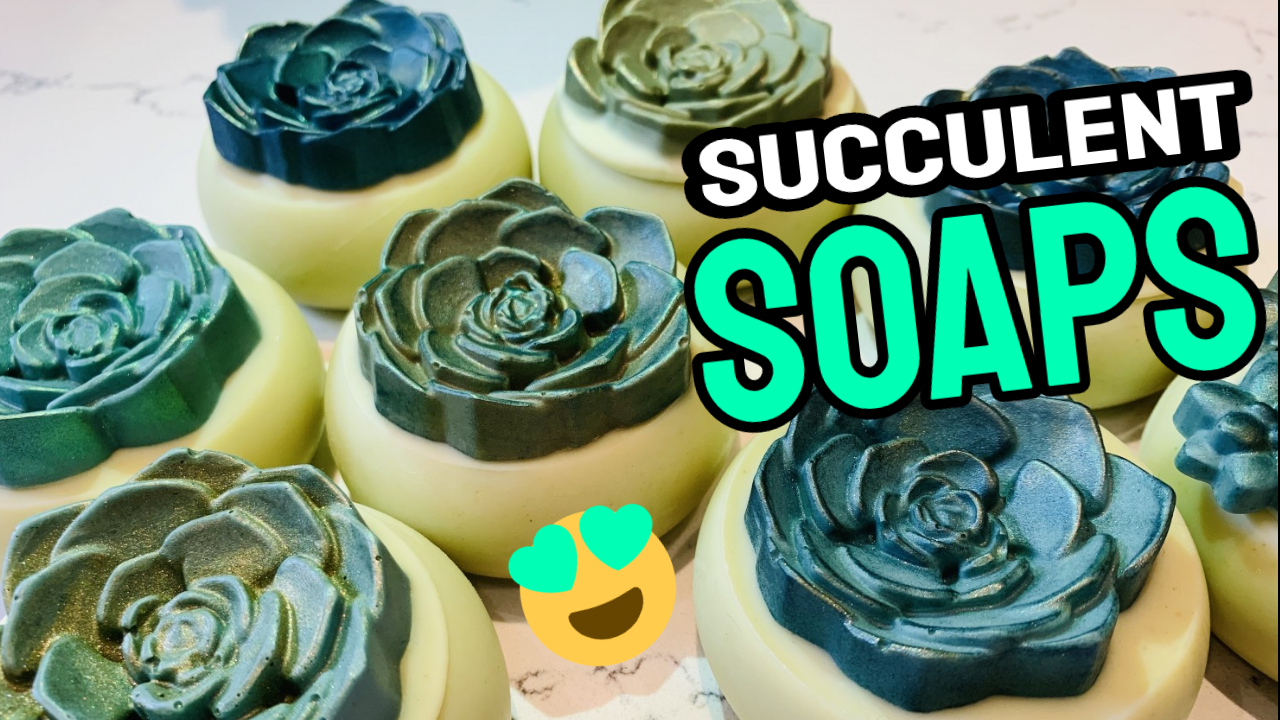 succulents soap